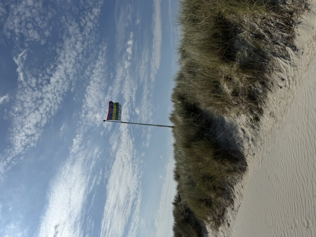 Terschellinger vlag op de duinen